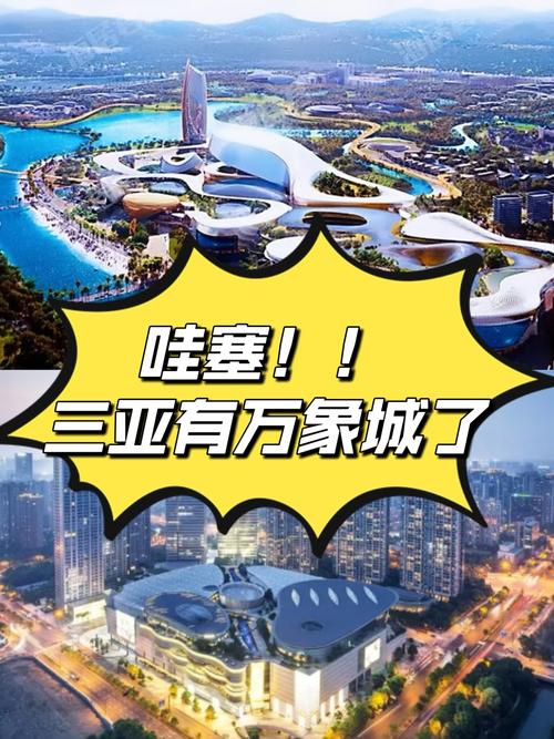 三亚初步构建“大招商格局” 计划扩大国际招商“朋友圈”